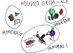 disegno