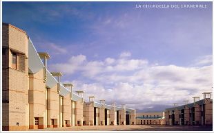 la cittadella del carnevale