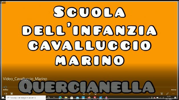 Scuola Cavalluccio marino