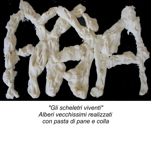 Pini antichissimi