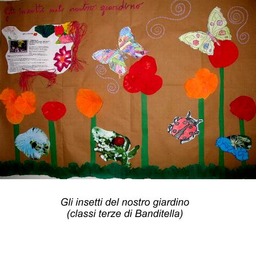 Gli insetti del prato