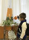 Tra i compiti giornalieri c chi deve prendersi cura delle piante