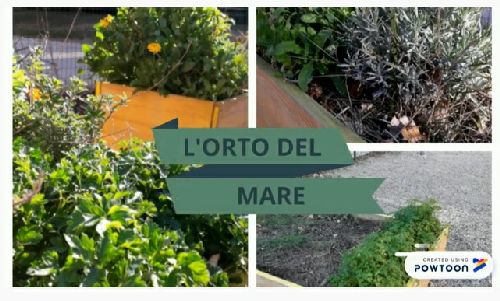 Descrizione: