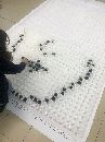 Giochiamo con il Coding 