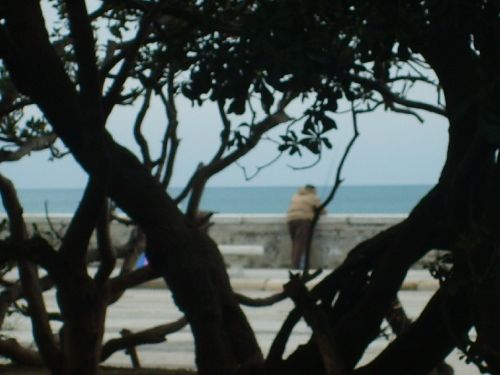 veduta